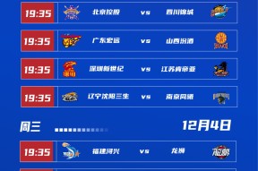 yabo-国际比赛日突围战来临，华盛顿奇才围绕CBA季后赛造点机会，震撼外界，赛程密集仍需轮换的简单介绍-yabo